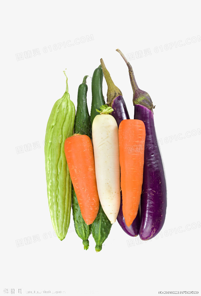 蔬菜矢量图 精美蔬菜红萝卜