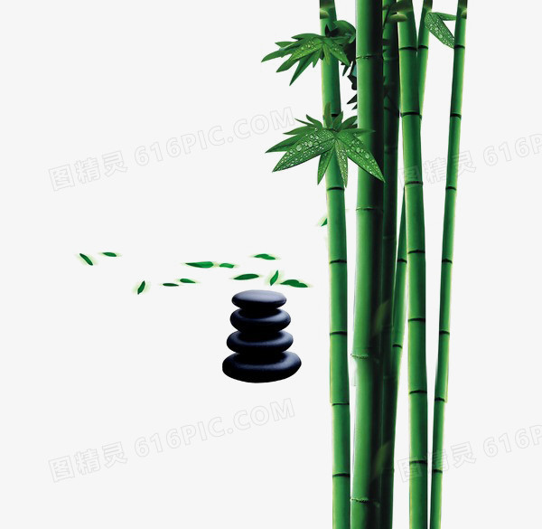 竹子图标手绘竹子 清新竹子