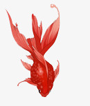 红色金鱼PNG免抠无背景素材