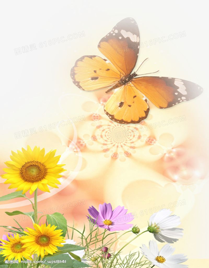 黄色美丽蝴蝶向日葵花朵