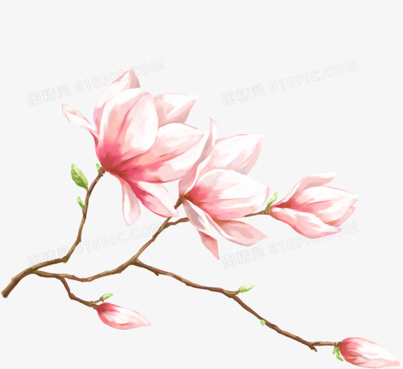 创意手绘合成粉红色的花卉植物
