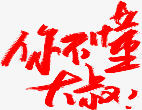 你不懂大叔