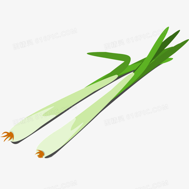 蔬菜葱