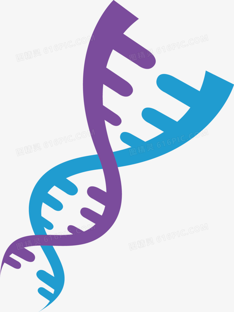 可爱简约基因链矢量图
