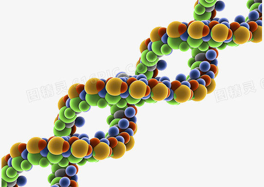 生物细胞分子结构