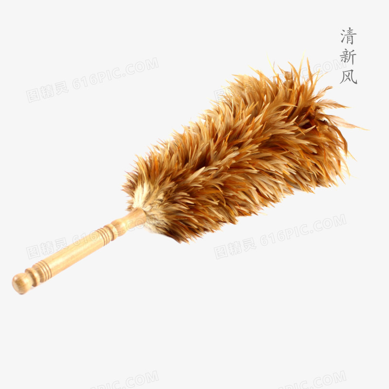一把羽毛掸子