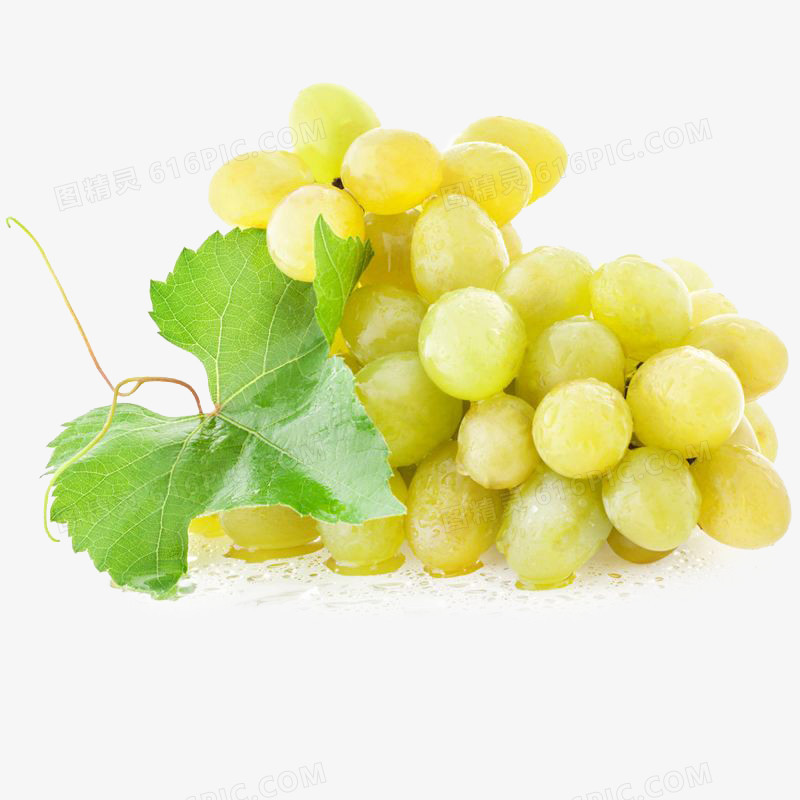 白葡萄水果素材