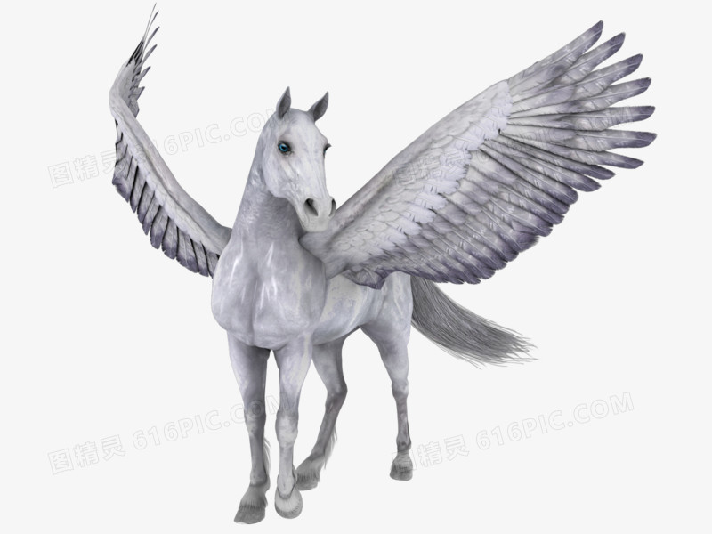 卡通素材马图片 长翅膀的白马