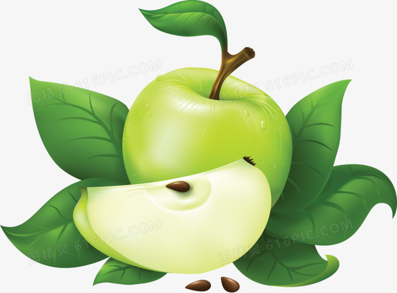 水果图片素材手绘水果素材 青苹果