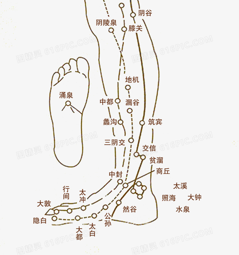 中医足疗宣传手册