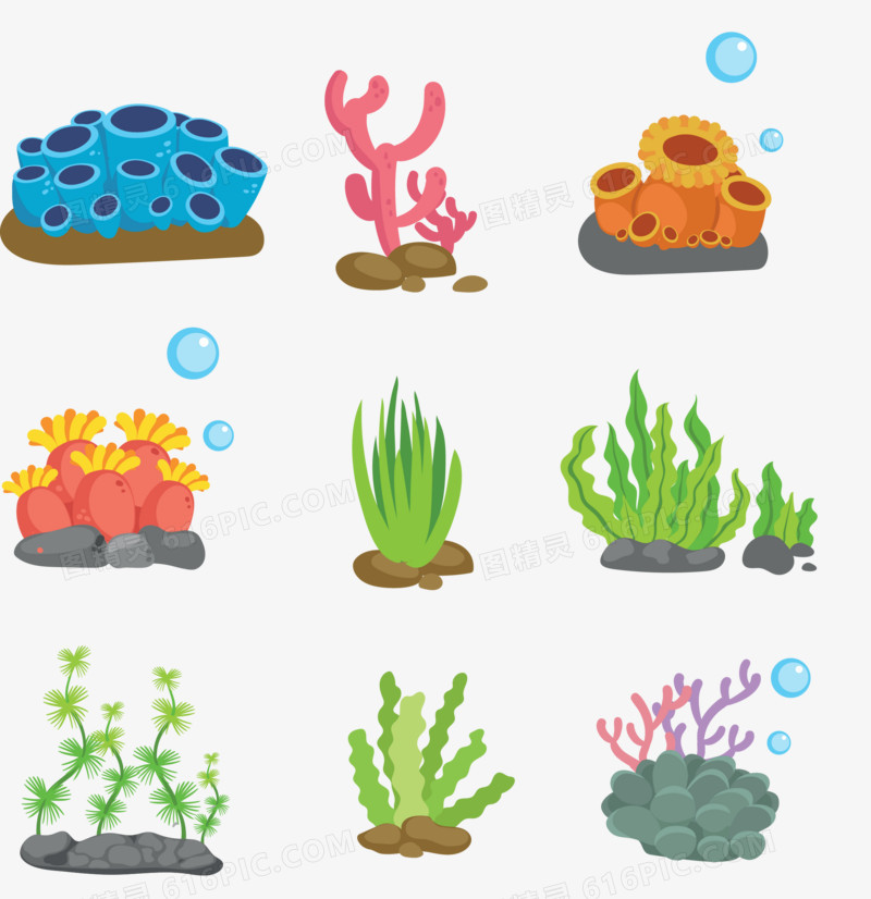 矢量手绘彩色海底植物