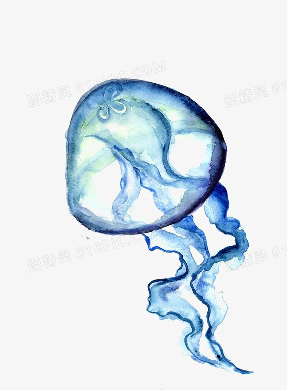 关键词:手绘卡通海洋动物蓝色水母图精灵为您提供水母免费下载,本设计