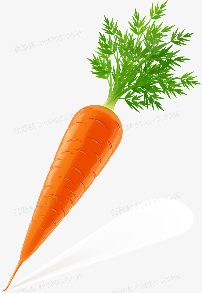 胡萝卜矢量图