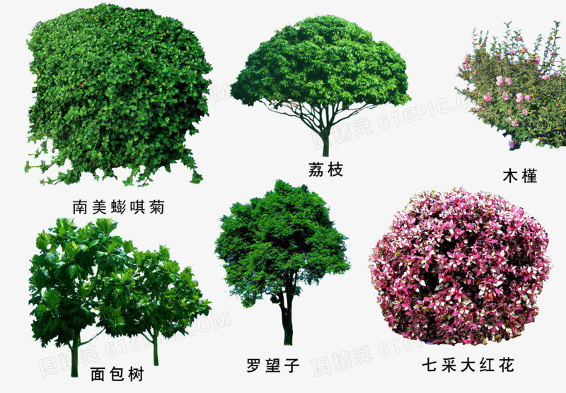 关键词:              绿色植物绿植绿化盆景3d贴效果图元素