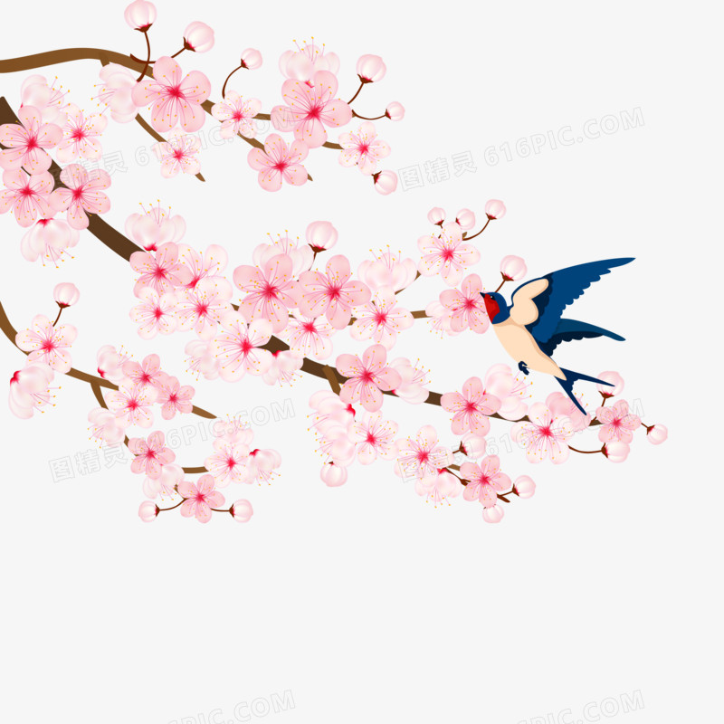 手绘春天桃花和燕子素材