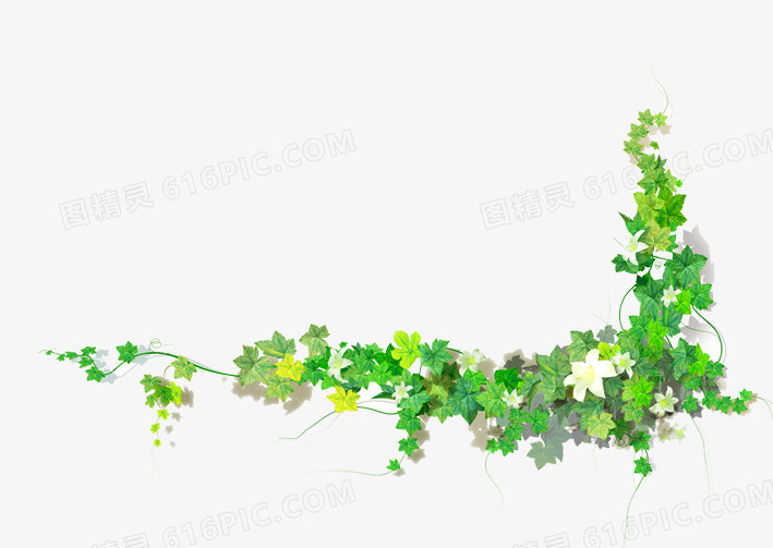 关键词:              藤蔓树叶藤蔓装饰边框
