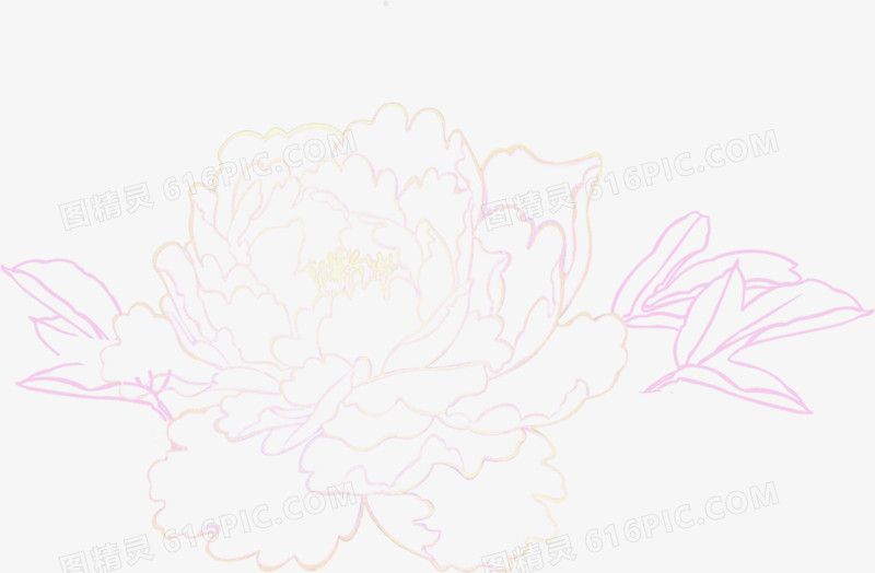 牡丹花卉新年贺卡图片