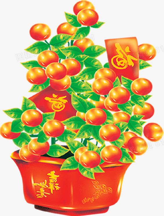 新年橘子树装饰免抠图片
