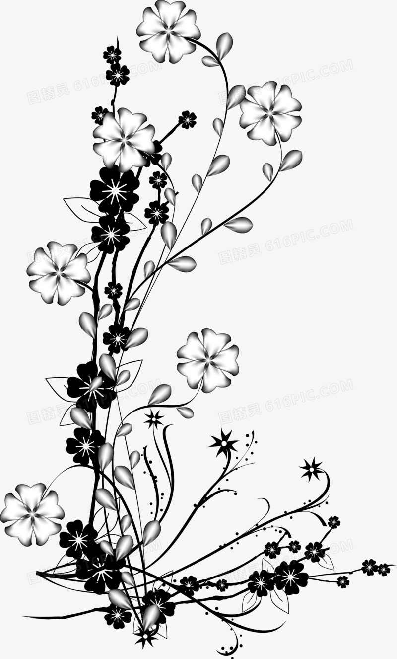 黑白花卉装饰背景矢量图图片免费下载 Png素材 编号1m9i5r4l8 图精灵