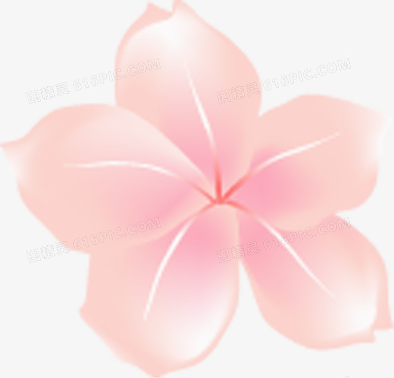 粉色手绘花朵七夕情人节