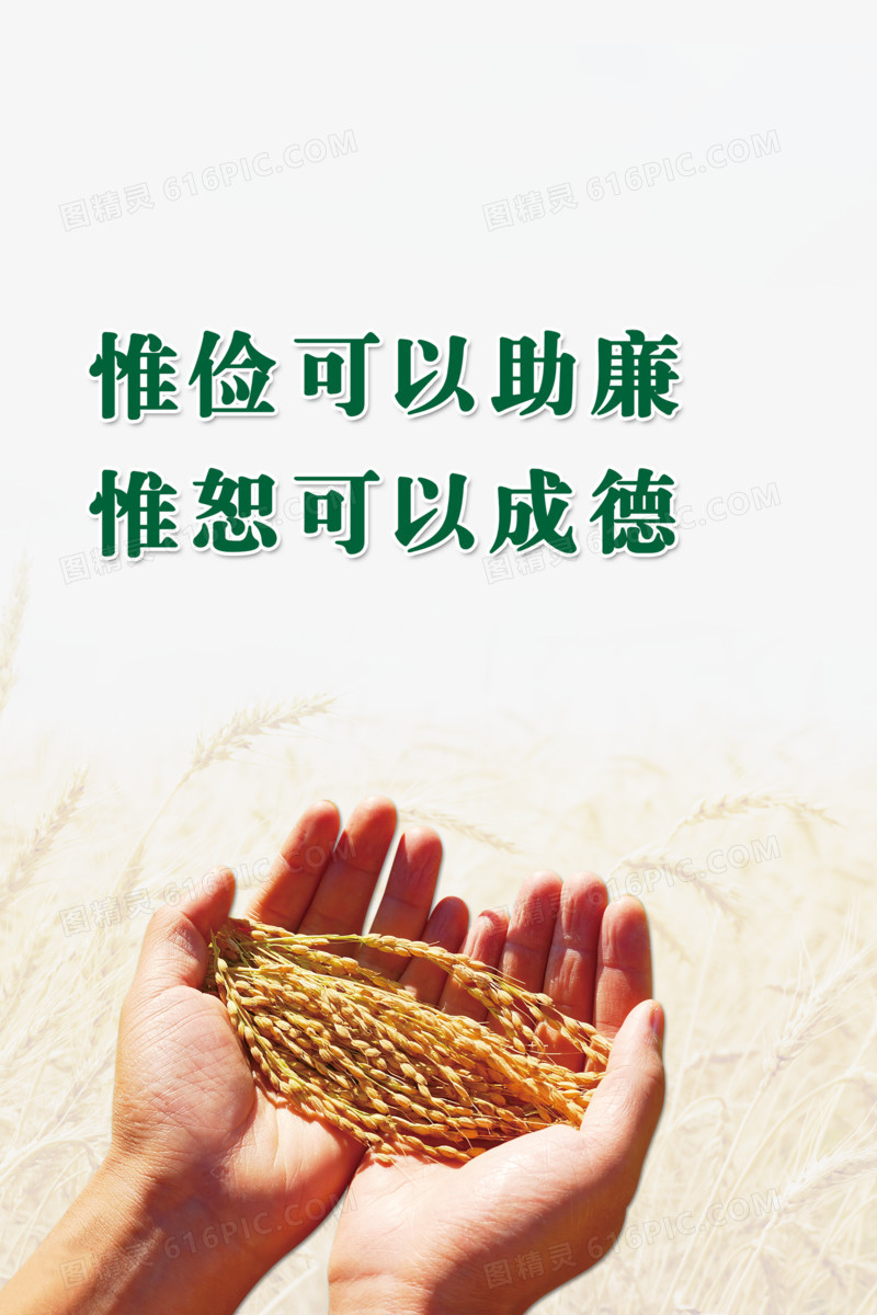 关键词:              节约粮食稻麦稻谷