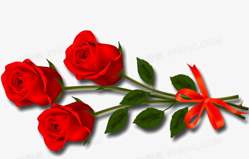三朵玫瑰花图片免费下载_高清png素材_图精灵