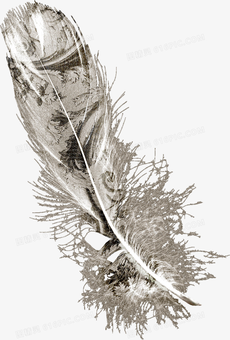 花纹矢量图镂空花纹图片素材 卡通手绘羽毛