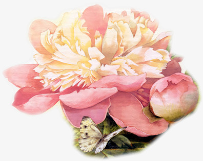 花饰图案手绘花图片  粉色唯美花朵