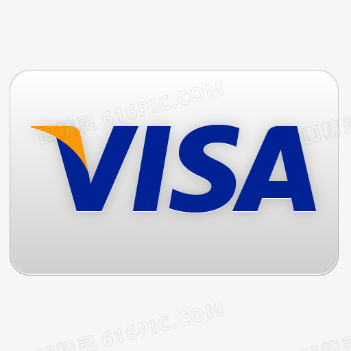 visa icon