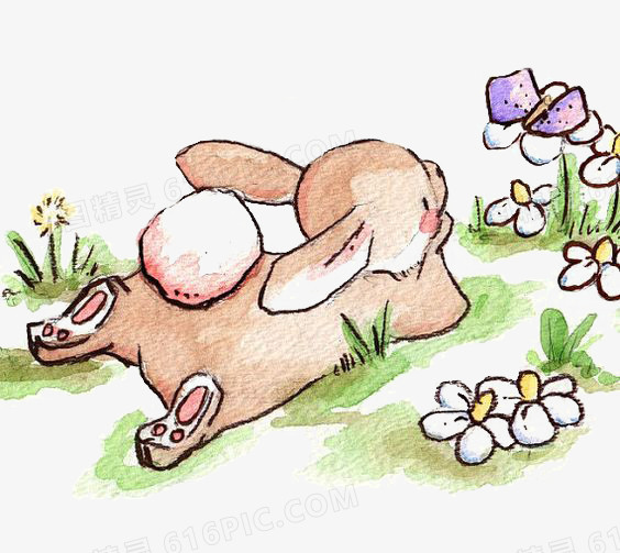 趴在草地上的小兔子
