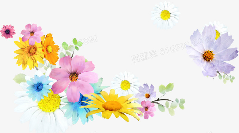 的彩色夏季花朵边框装饰