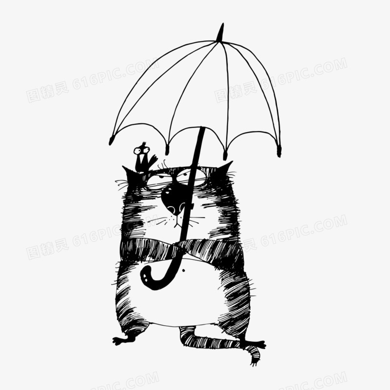 打伞的小猫
