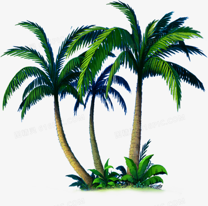 夏天椰子树素材