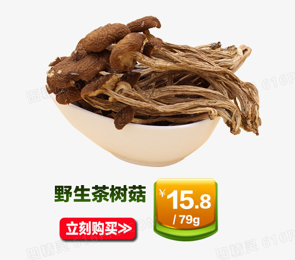 野生茶树菇
