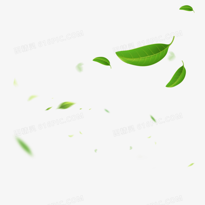 绿色漂浮的叶子免抠元素