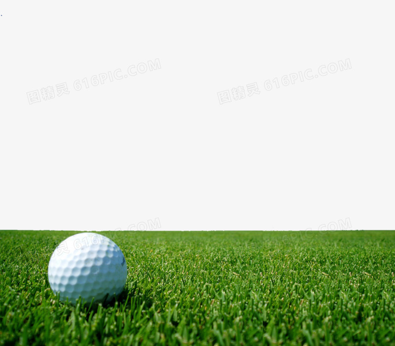草坪上的高尔夫球