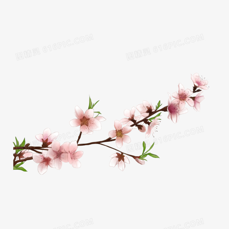 手绘水彩桃花树枝元素