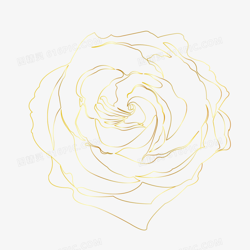金色线条玫瑰