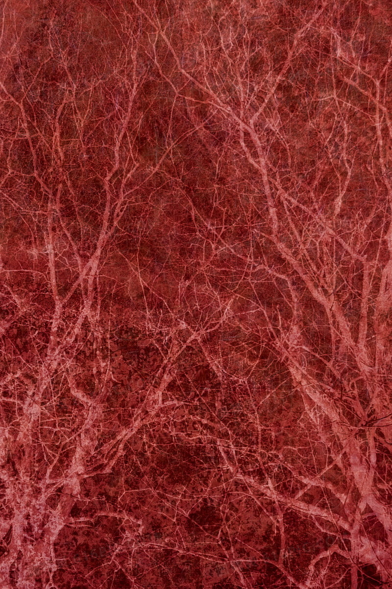 红色浪漫枯树背景