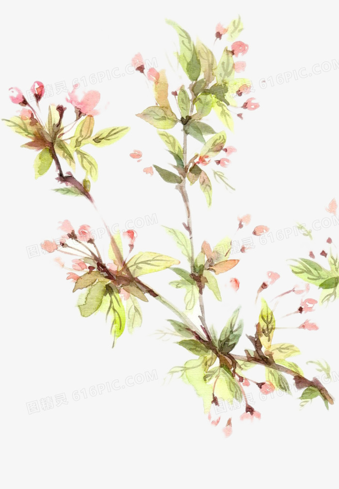 初春的桃花图片素材