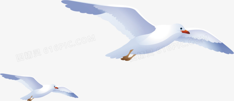 卡通手绘海鸥