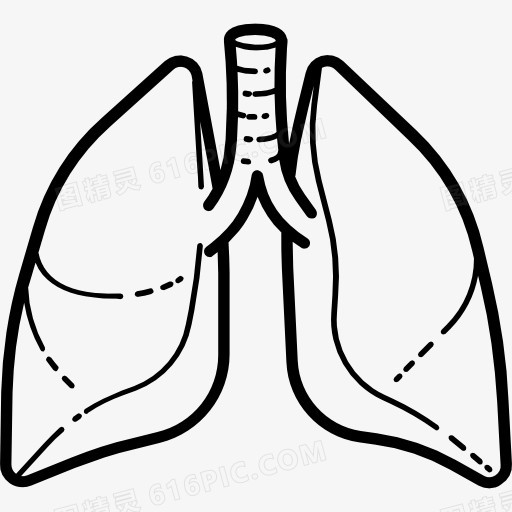关键词:卡通手绘器官内脏肺图精灵为您提供肺免费下载,本设计作品为肺