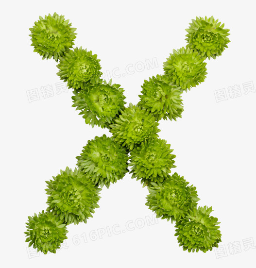 X绿色圆球植物海报背景