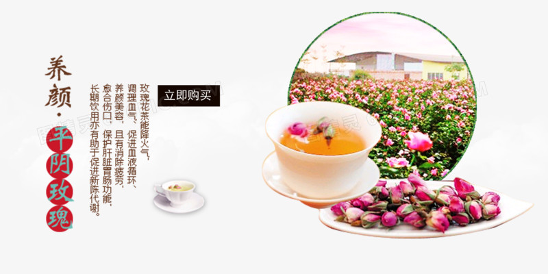 玫瑰花茶