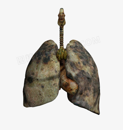 吸烟人的肺