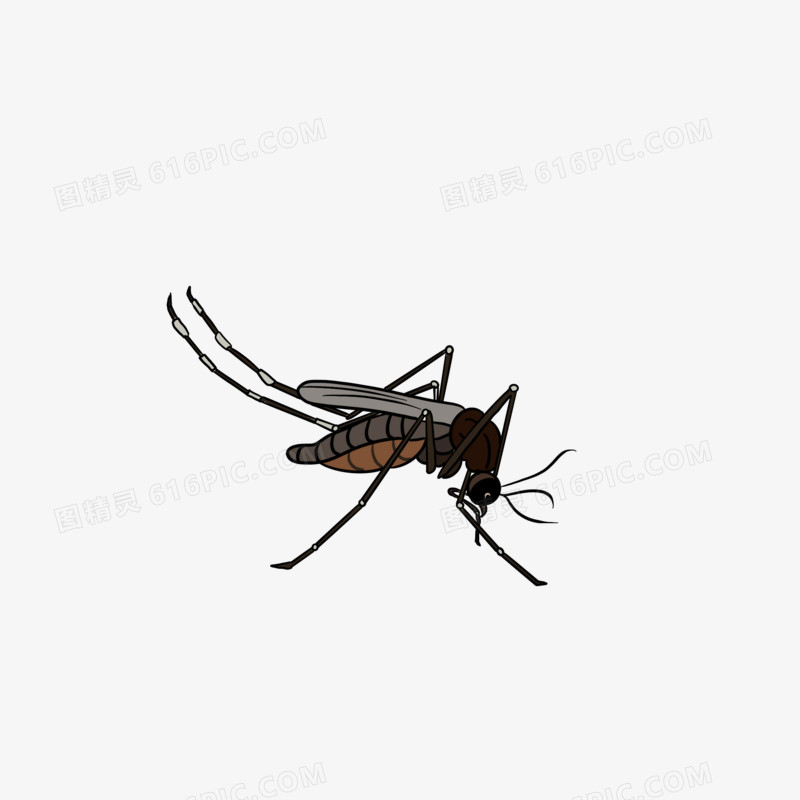 卡通害虫蚊子免抠素材