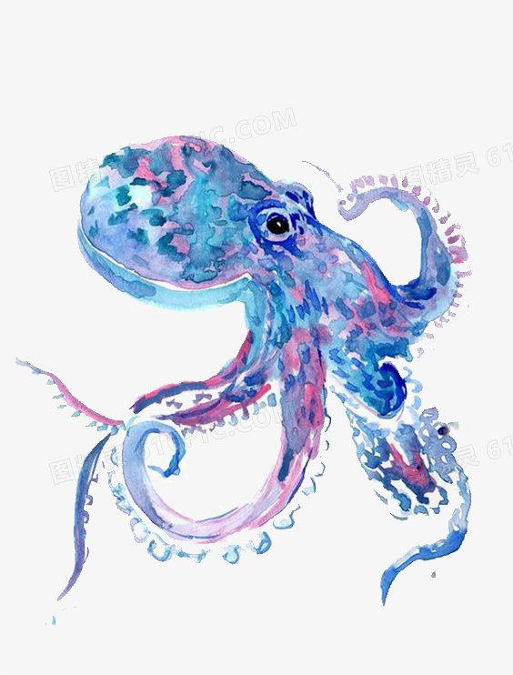 关键词:章鱼水彩海洋插画卡通手绘文艺清新图精灵为您提供章鱼免费