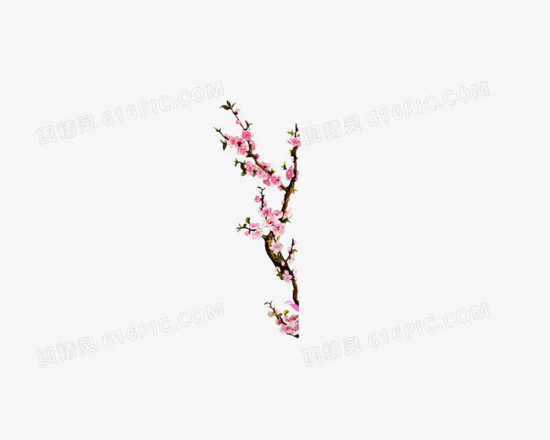花素材