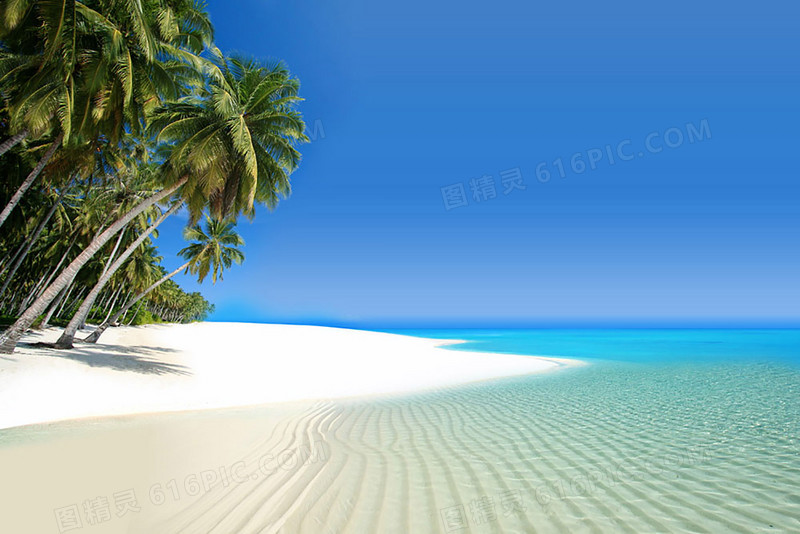 椰树沙滩蓝天风景图片