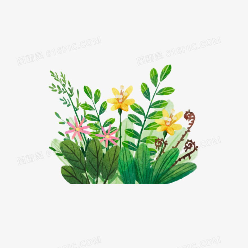 一组水彩风植物花草合集之系列三元素